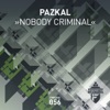 Nobody Criminal - Single