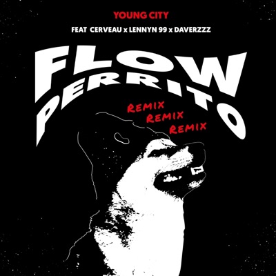 Flow Perrito (feat. Young City, Lennyn 99 & Daverzzz) [Remix] - Single