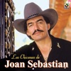 Las Chicanas De Joan Sebastián