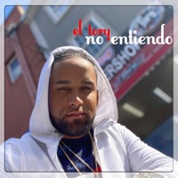No Entiendo el Tory - Single - El Tory