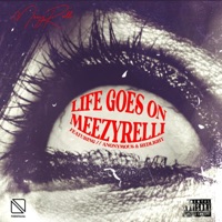 Life Goes On (feat. Anonymous & REDLIGHT) - Single - Meezyrelli