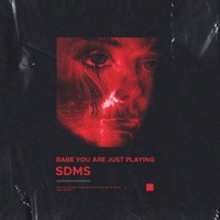 Babe You Are Just Playing - Single - Sdms