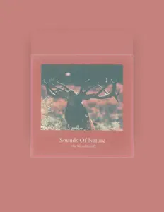 Ascolta Thomas Kommer, guarda video musicali, leggi la biografia, vedi le date del tour & altro!