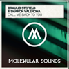 Call Me Back to You - Braulio Stefield & Sharon Valerona