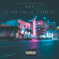 If you like it, I love it! - Single - H.O.P