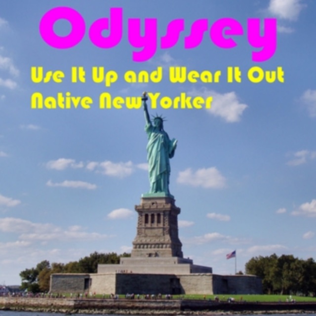 Use It up and Wear It Out - Single