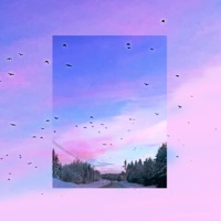 VILA - Single - ALLC