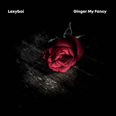 Ginger My Fancy - Single