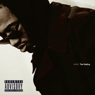 The Feeling - Single