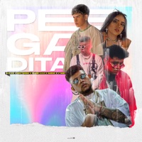 Pegadita (feat. Daizak & V'nney) - Single - Alu Mix, Leo Torrez & Zkiper Mami