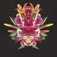 In Between - Single - Meloko