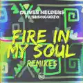 Fire In My Soul (feat. Shungudzo)