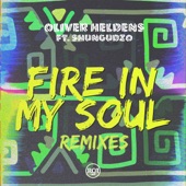 Fire In My Soul (feat. Shungudzo) [Remixes] - EP artwork