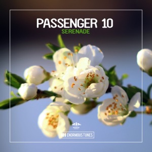 Serenade - Single