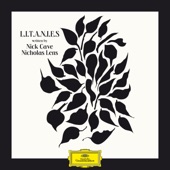 Litany of Transformation artwork