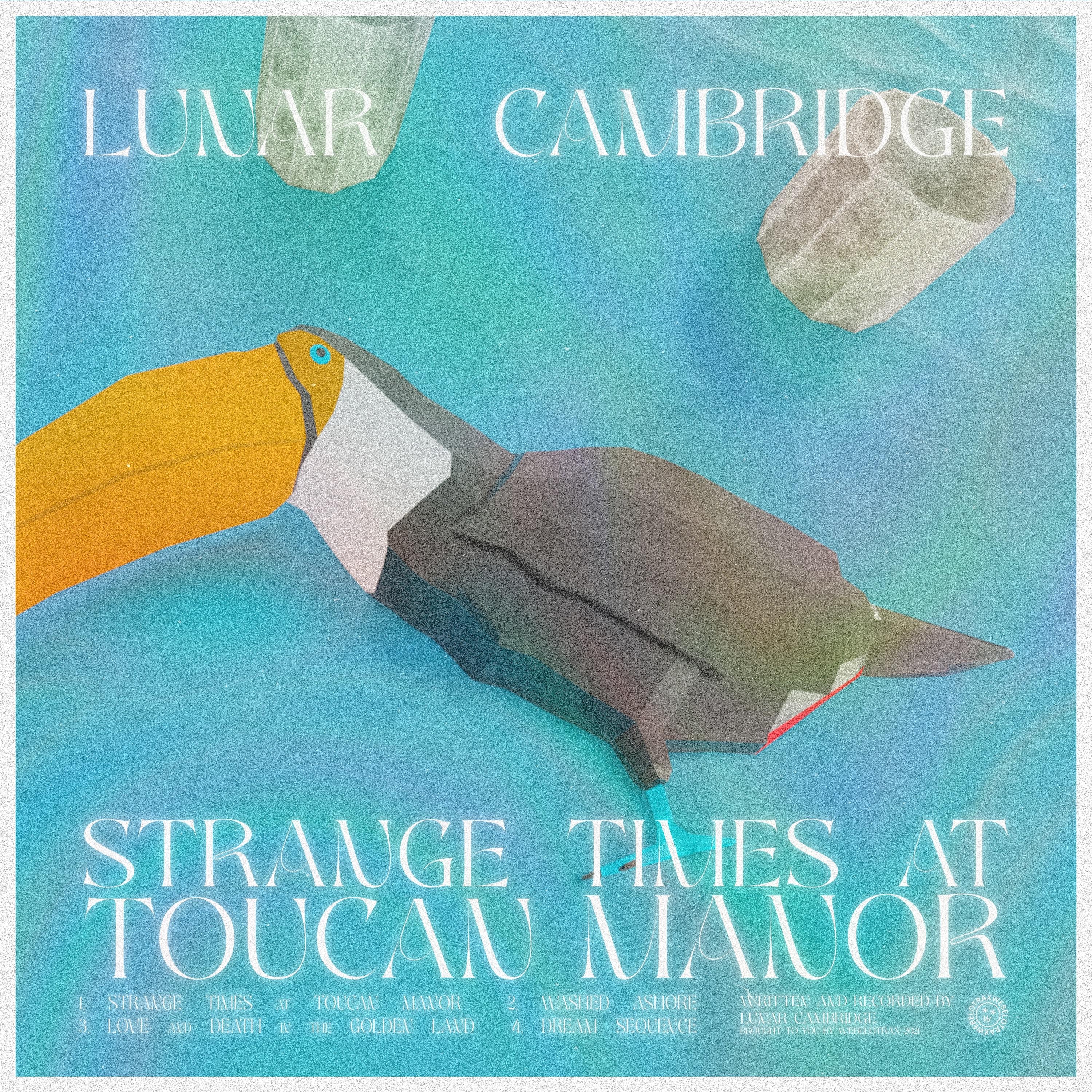 Lunar Cambridge - Washed Ashore