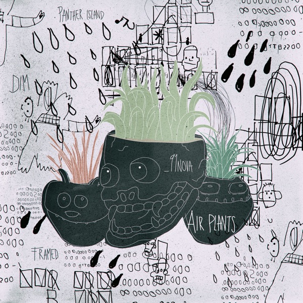 Air Plants - EP