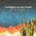 Jen Mize & Mark Sholtez-Ridin' Down the Canyon