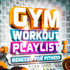 Gym Workout Playlist - Remixed for Fitness - Vuducru