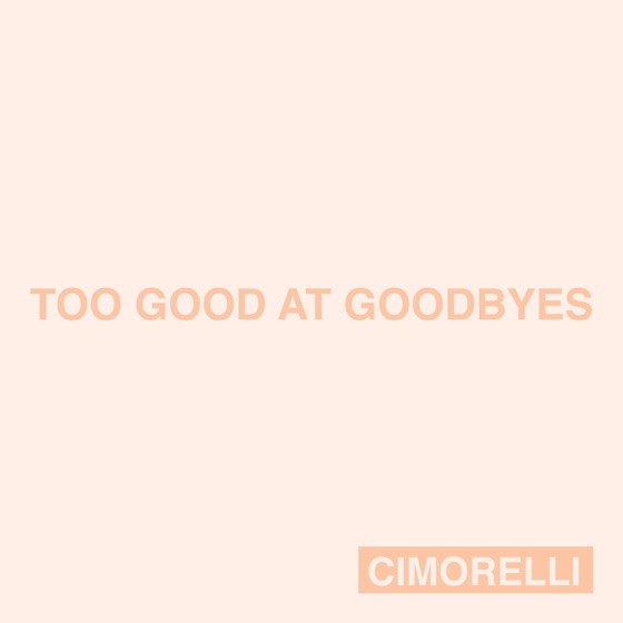 Cover artwork for Too Good at Goodbyes