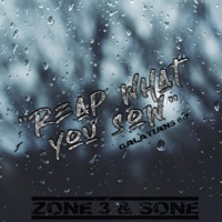 Reap What You Sow - Single - Zone-3 & Christopher Sone Franklin