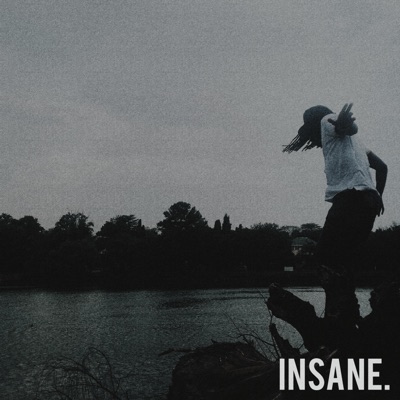 Insane - EP