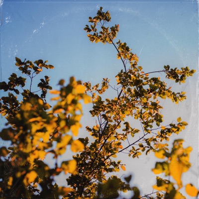 In de zon (feat. Delia Accardo & Chaz) - Single