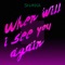 When Will I See You Again - Shakka lyrics