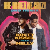 She Drives Me Crazy (feat. Nelly) [DND Remix] artwork