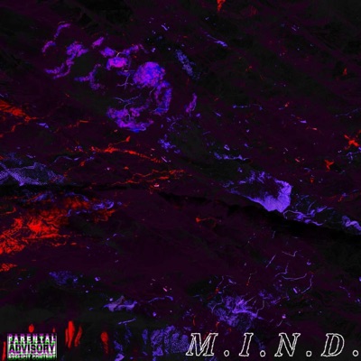 M.I.N.D.