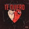Te Quiero (feat. Dirty Shafi) - Mndfck Louie lyrics