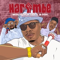 Harambe (feat. Syper & AB Crazy) - Single - Emzet