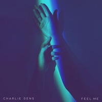 Feel Me (Remix) - Single - Charlie Dens