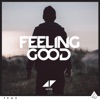 Avicii - Feeling Good	
