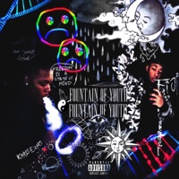 Fountain of Youth (feat. Kid Fiji) - Single - Khaleezus