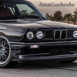 AmaGusheshe (feat. Babtherio & Moola) Starring Rsa