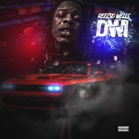 DWI - Single - Reecso Wells