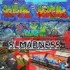 Slmadness (feat. DUFLE) - Single