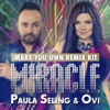 Miracle (Make Your Own Remix Kit - Eurovision Song Contest 2014)