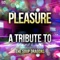 Pleasure - Ameritz Top Tributes lyrics