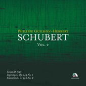 Schubert, Vol. 2: Piano Sonata D. 959, Impromptu Op. 142 No. 1 & Klavierstück D. 956 No. 2 artwork