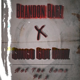 Not the Same, pt. 2 (feat. Chicogotbarz) Brandon Barz