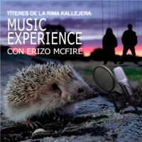 Music Experience (feat. Erizo Mcfire) - Single - Títeres de la Rima Kallejera