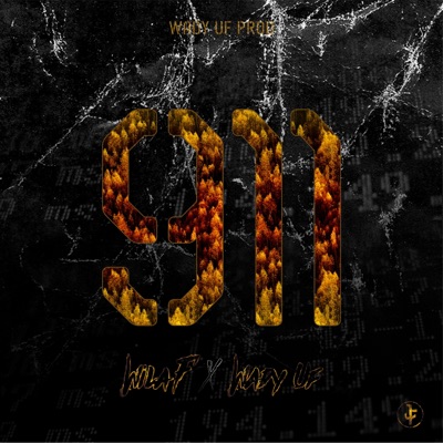 911 (wila f) - Single