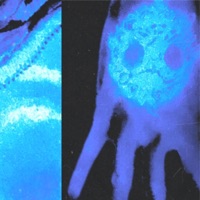 RX Flow / Exodus - Single - Moh Baretta