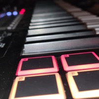 Follow You - Single - Feri