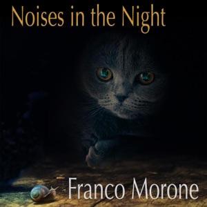 Noises in the Night - Single