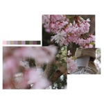 Khaki Cuffs - Drake Taco Bell