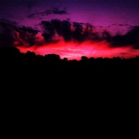 My Last Words - Single - 88 Diagrams