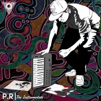 The Instrumentals - P.R.